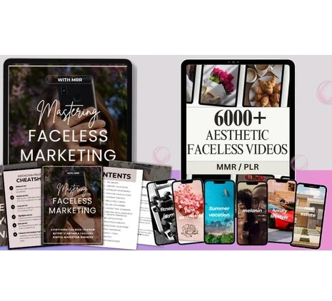 2 plr facelees aesthetic bundle ebooks digital products plr digital biz plr