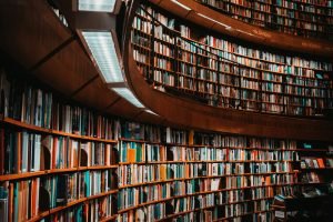 emil widlund xrbbxixawy0 unsplash